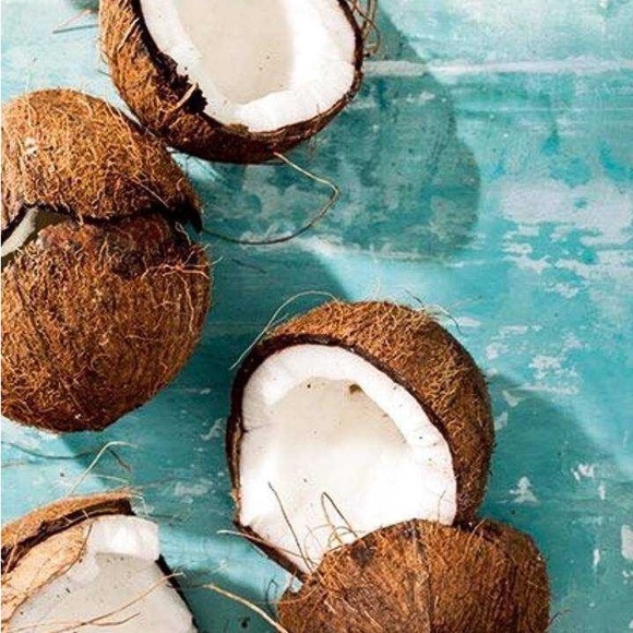 STOP Below was SOLD 🐬🐬🐬 - Picture 1 of 5